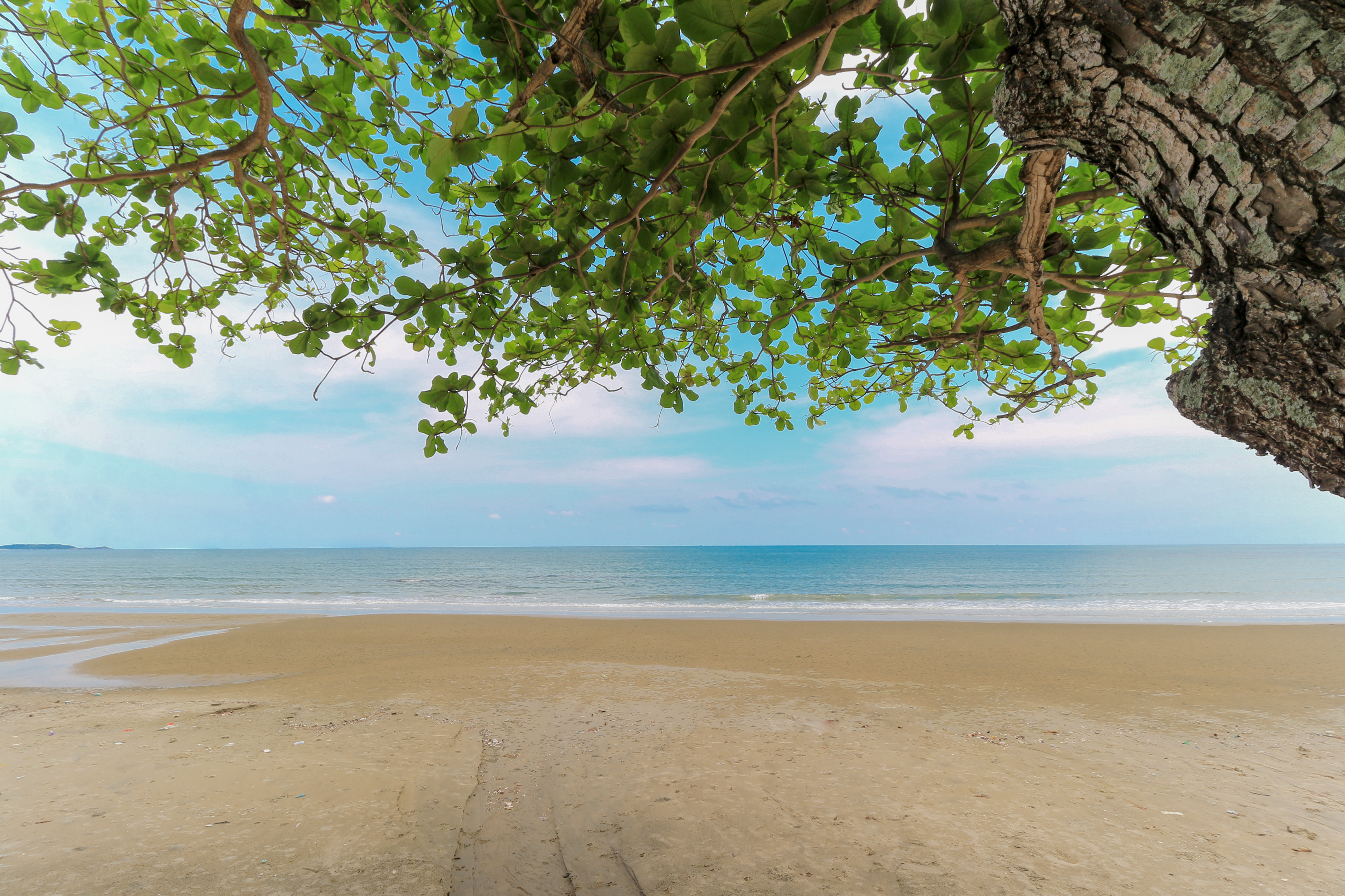 หาดแหลมแม่พิมพ์ (ระยอง) · 2