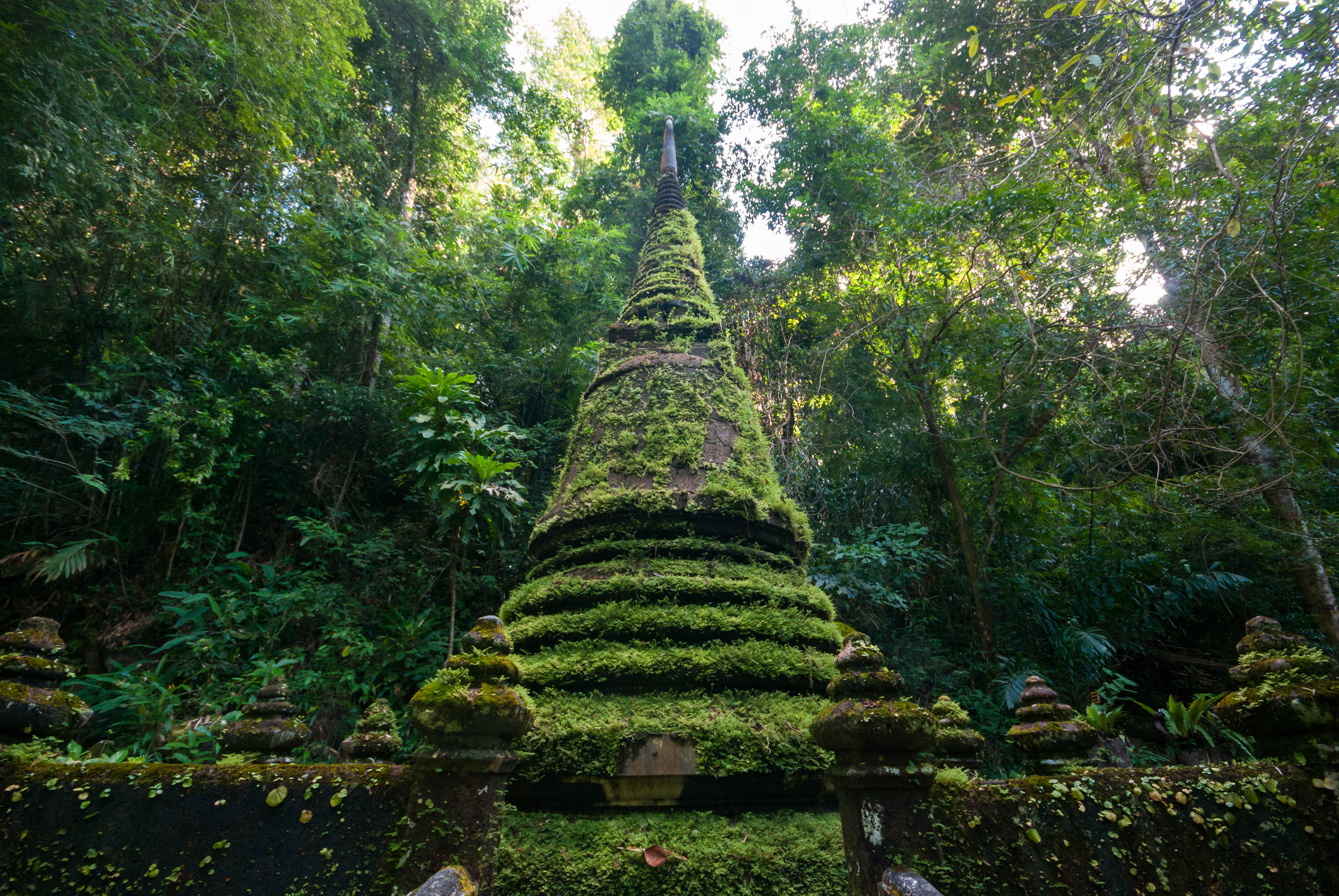 อุทยานแห่งชาติน้ำตกพลิ้ว · 3