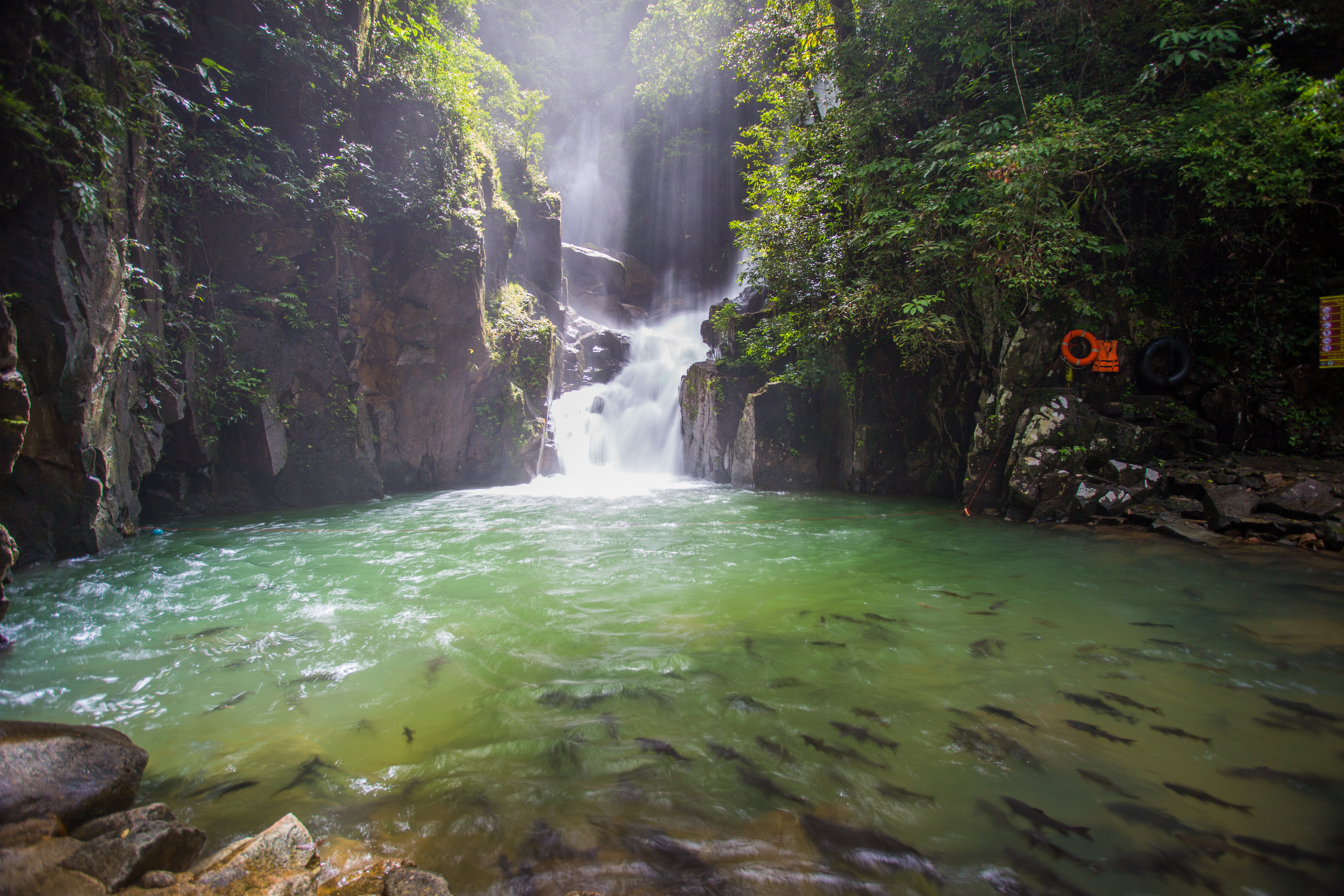 อุทยานแห่งชาติน้ำตกพลิ้ว · 2