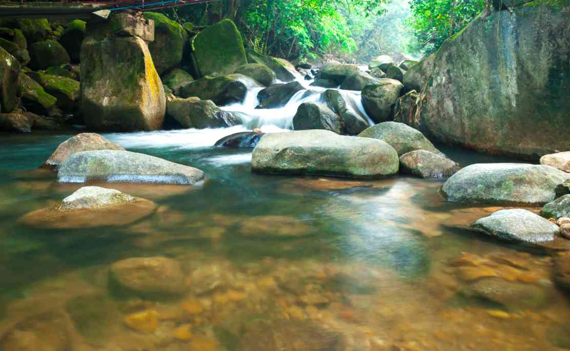 อุทยานแห่งชาติน้ำตกพลิ้ว