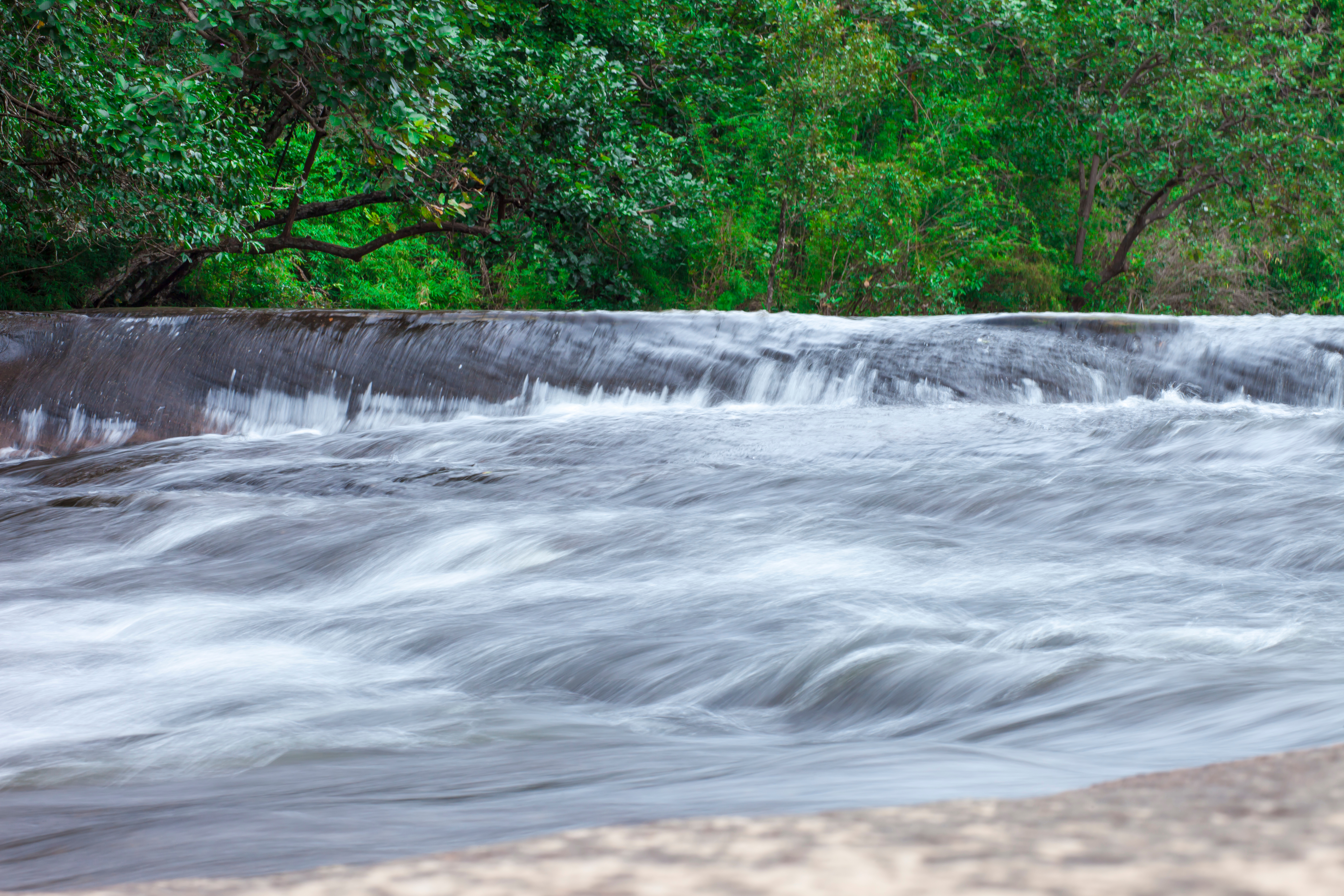 เขตรักษาพันธุ์สัตว์ป่าภูวัว · 3