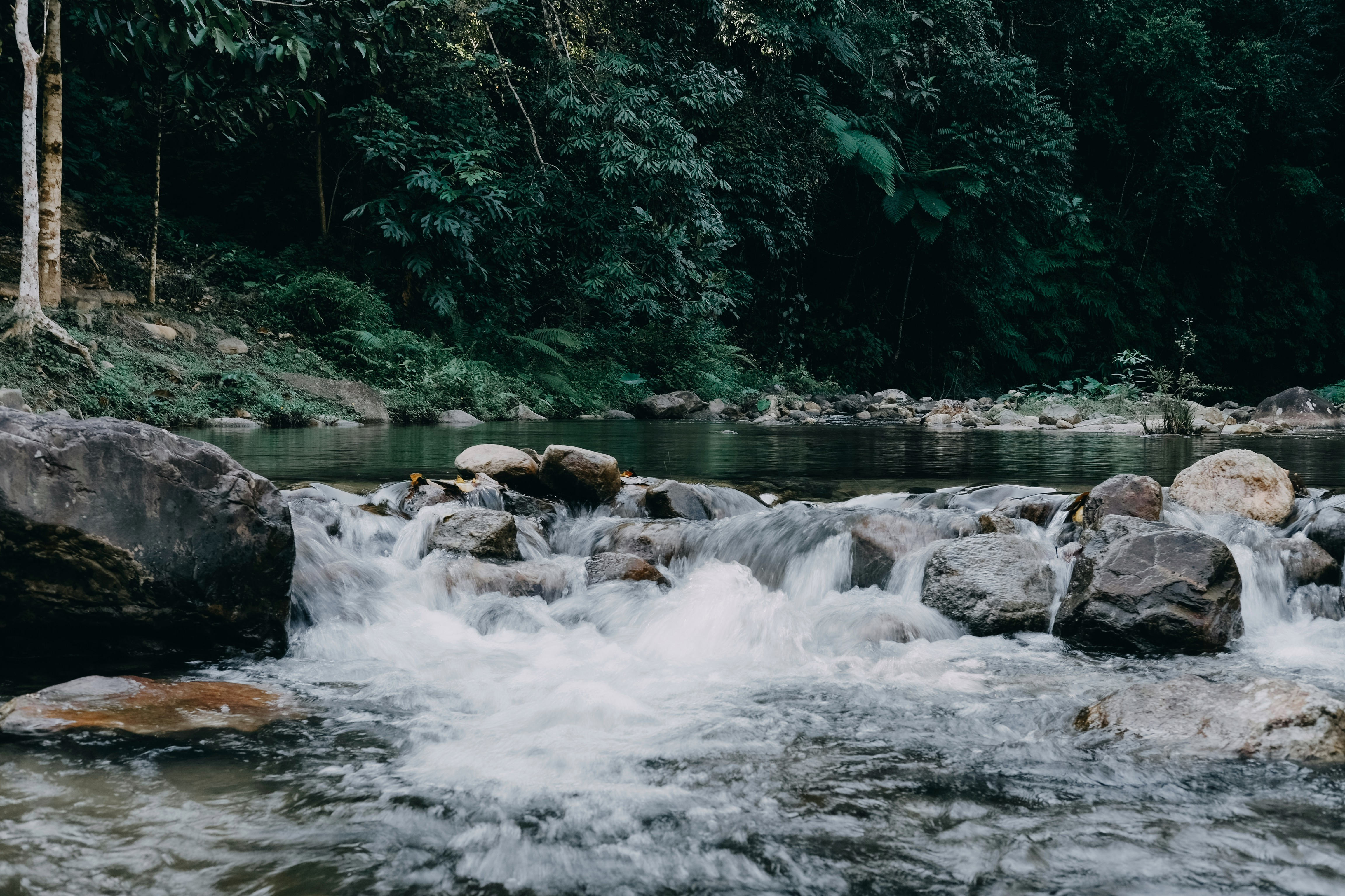 อุทยานแห่งชาติน้ำตกโยง · 3