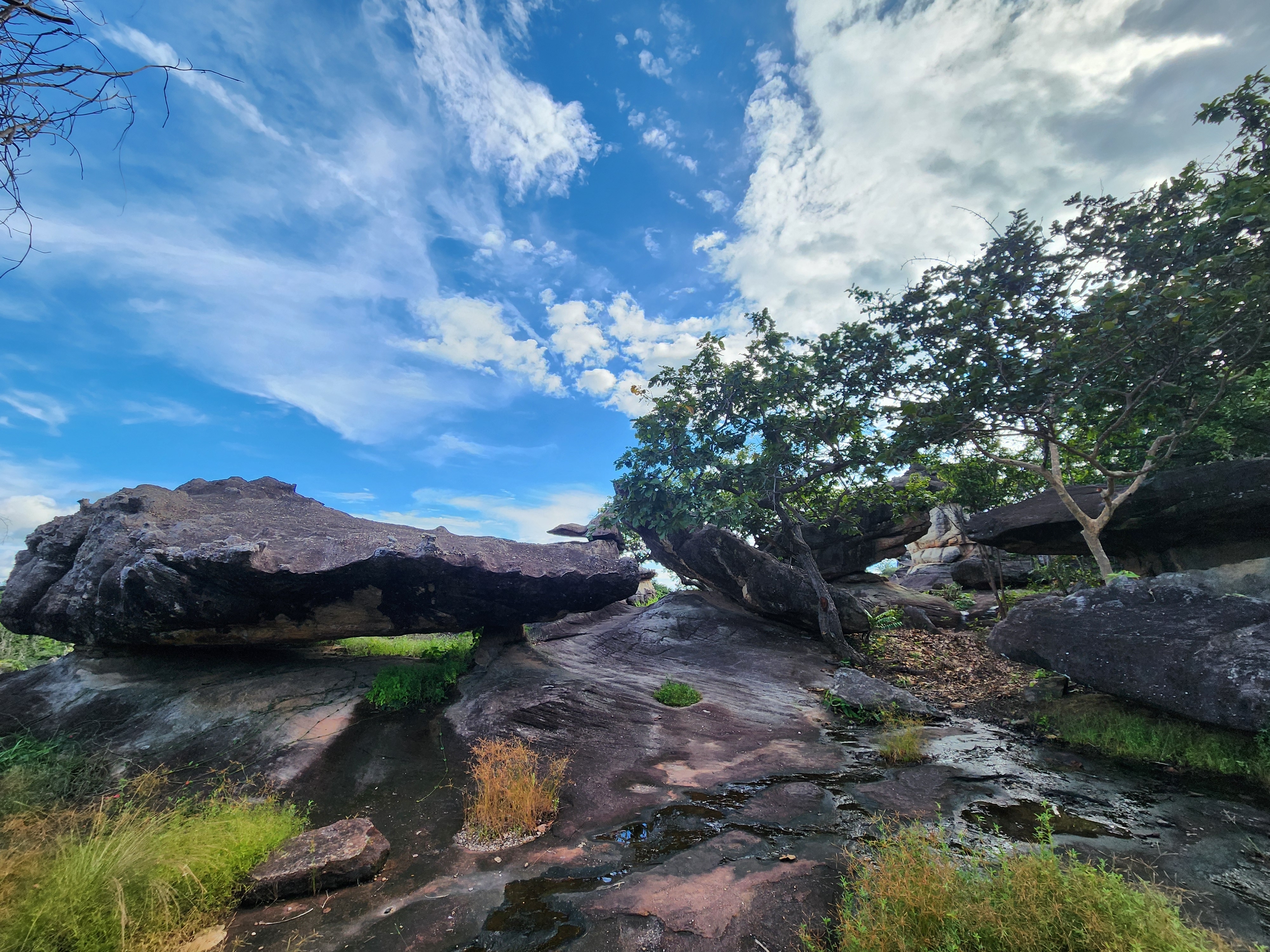 อุทยานแห่งชาติภูผาเทิบ · 4