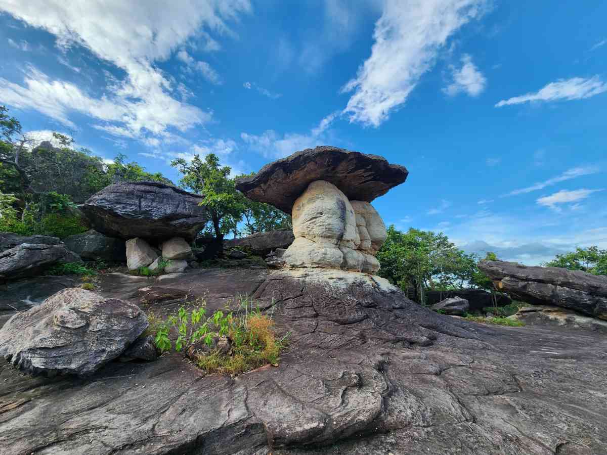 อุทยานแห่งชาติภูผาเทิบ