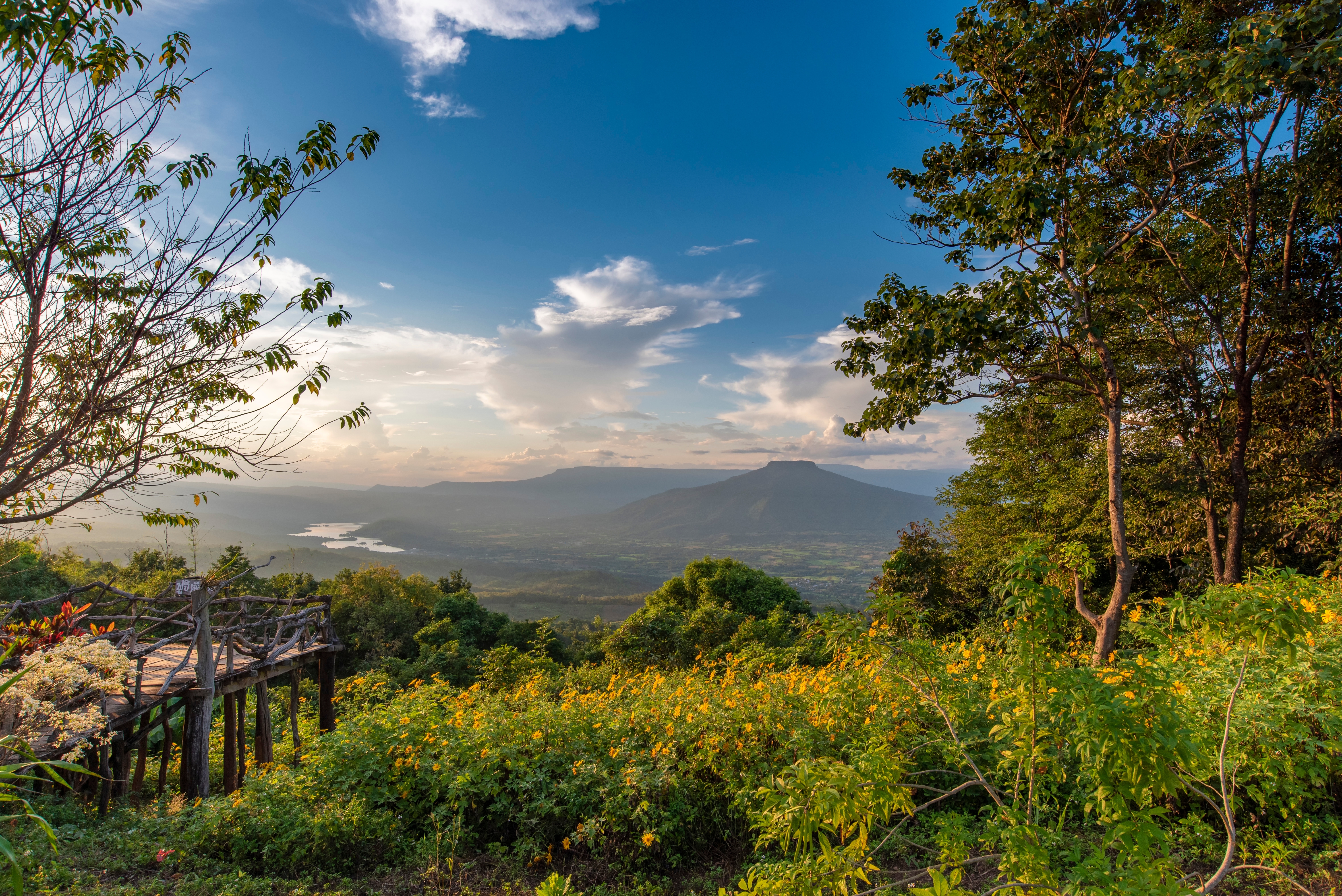 ภูป่าเปาะ ฟูจิเมืองเลย · 3