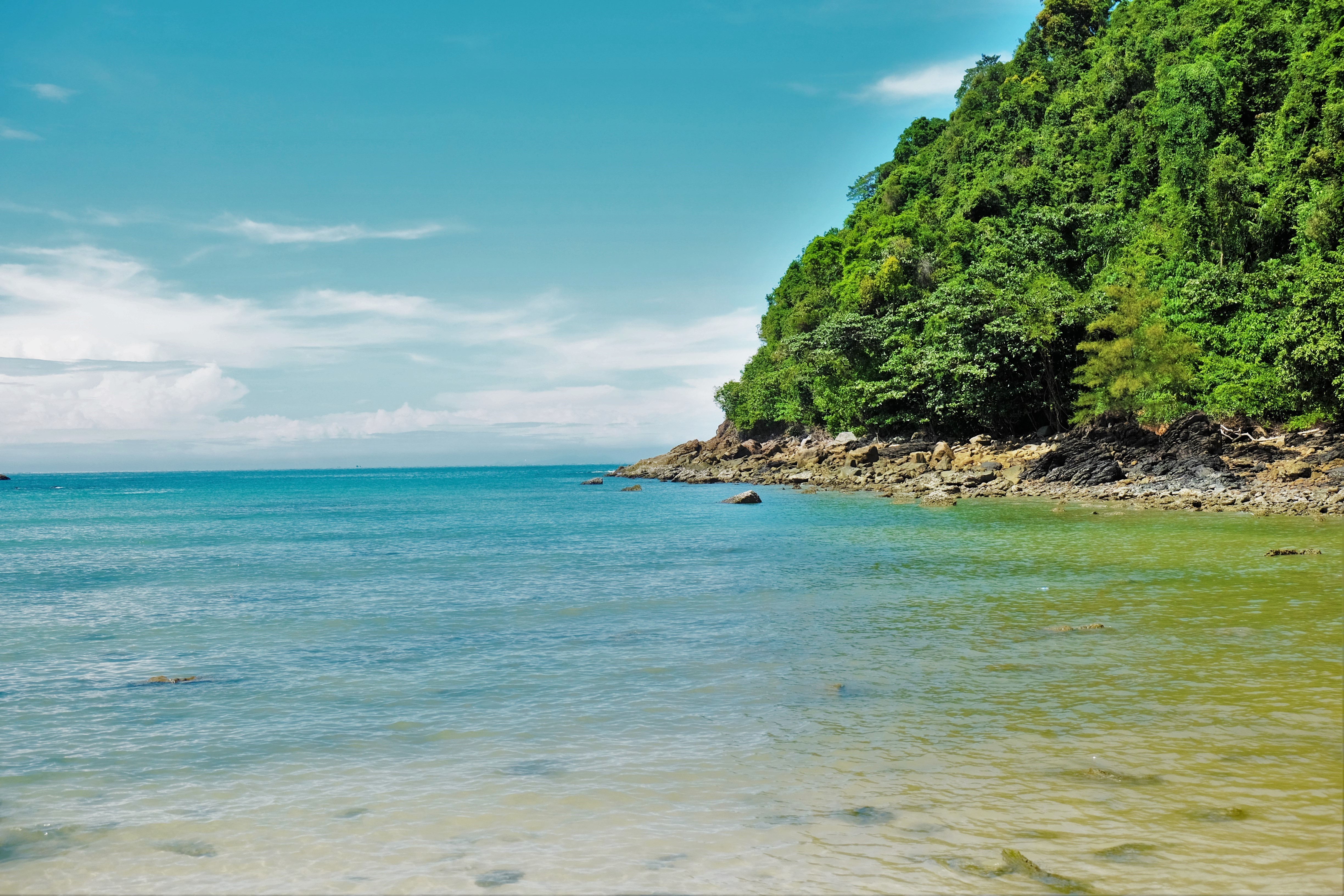 เกาะญี่ปุ่น · 3