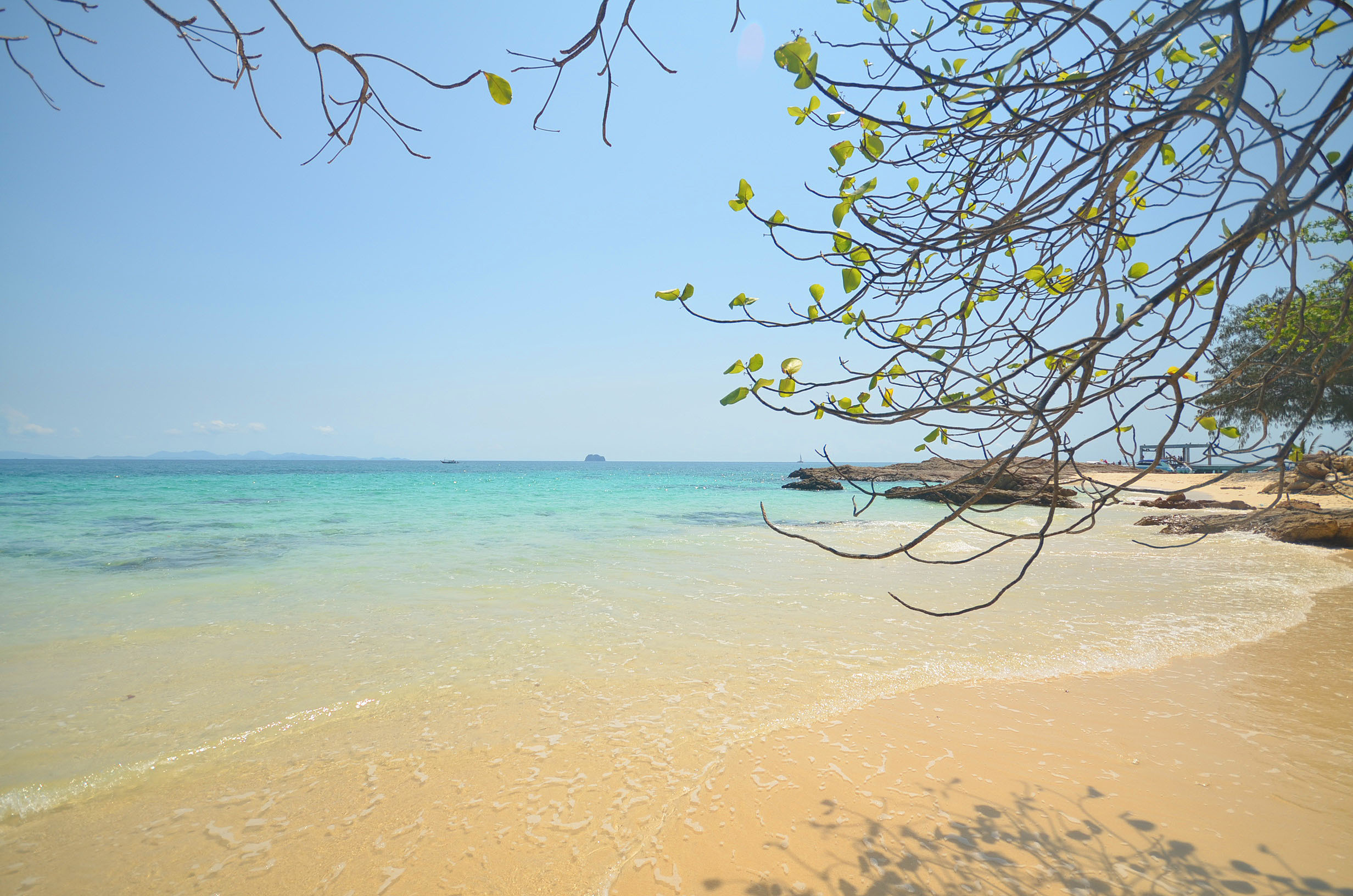เกาะไม้ท่อน · 2