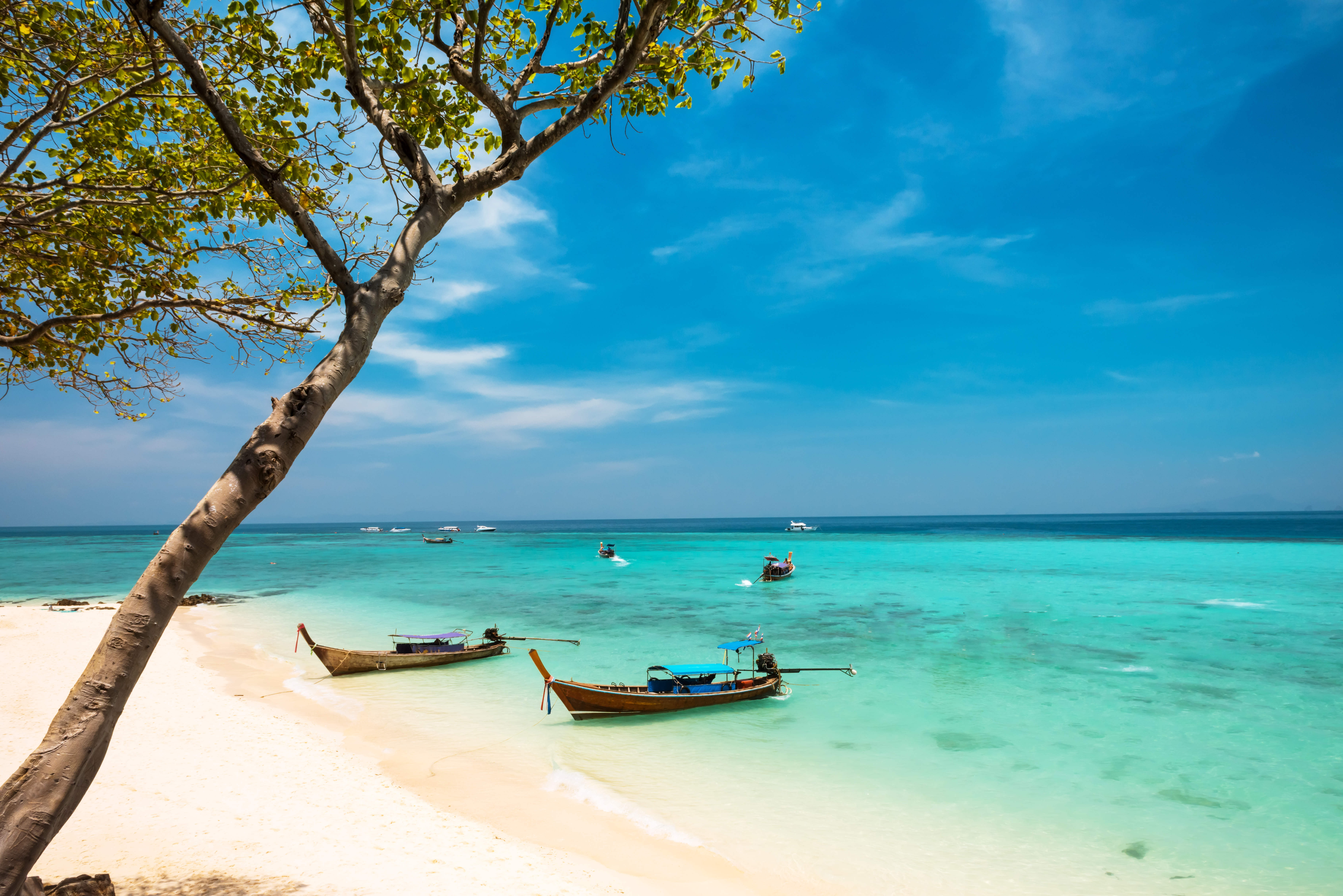 เกาะไม้ไผ่ · 2
