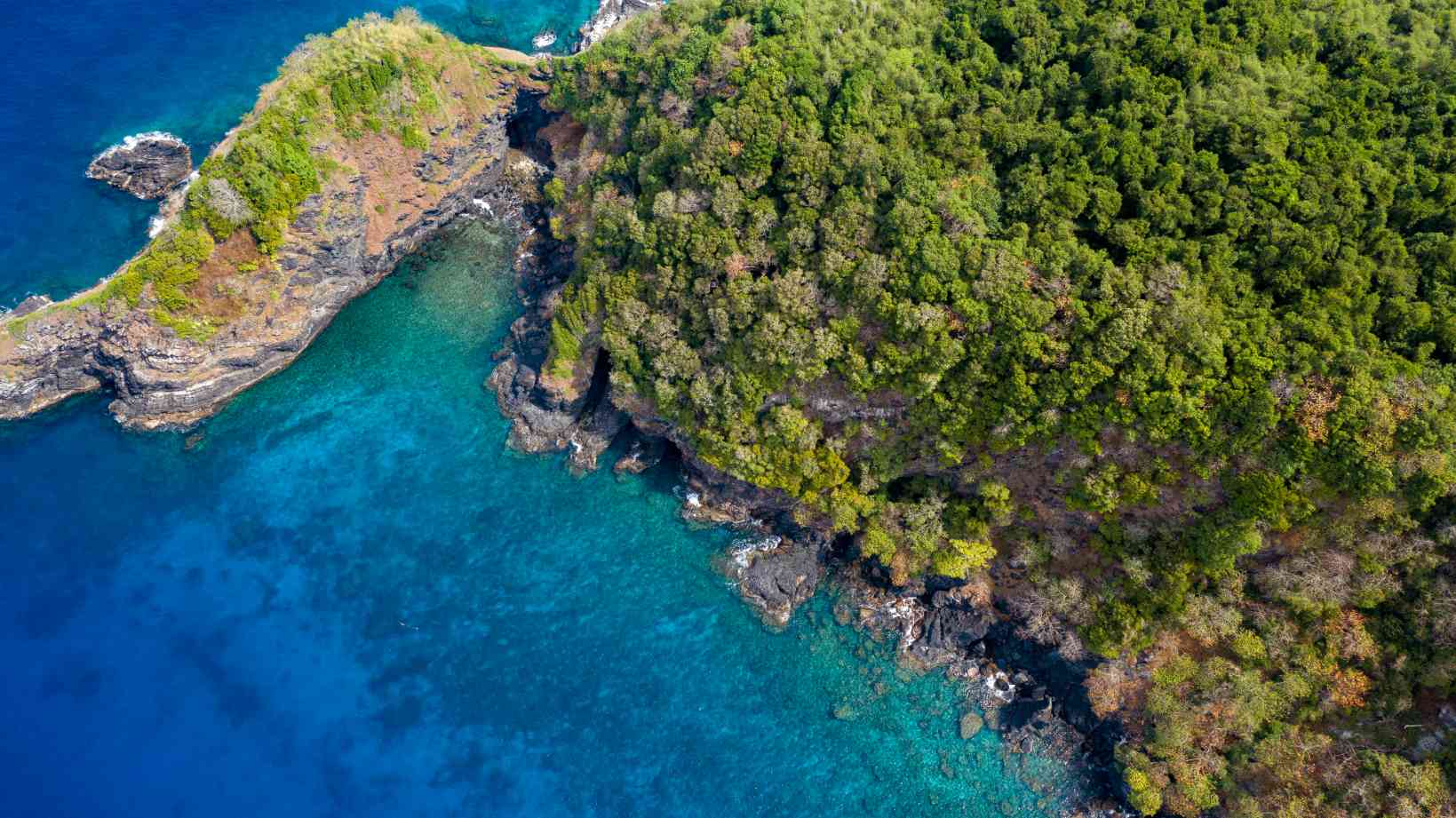 เกาะบอน