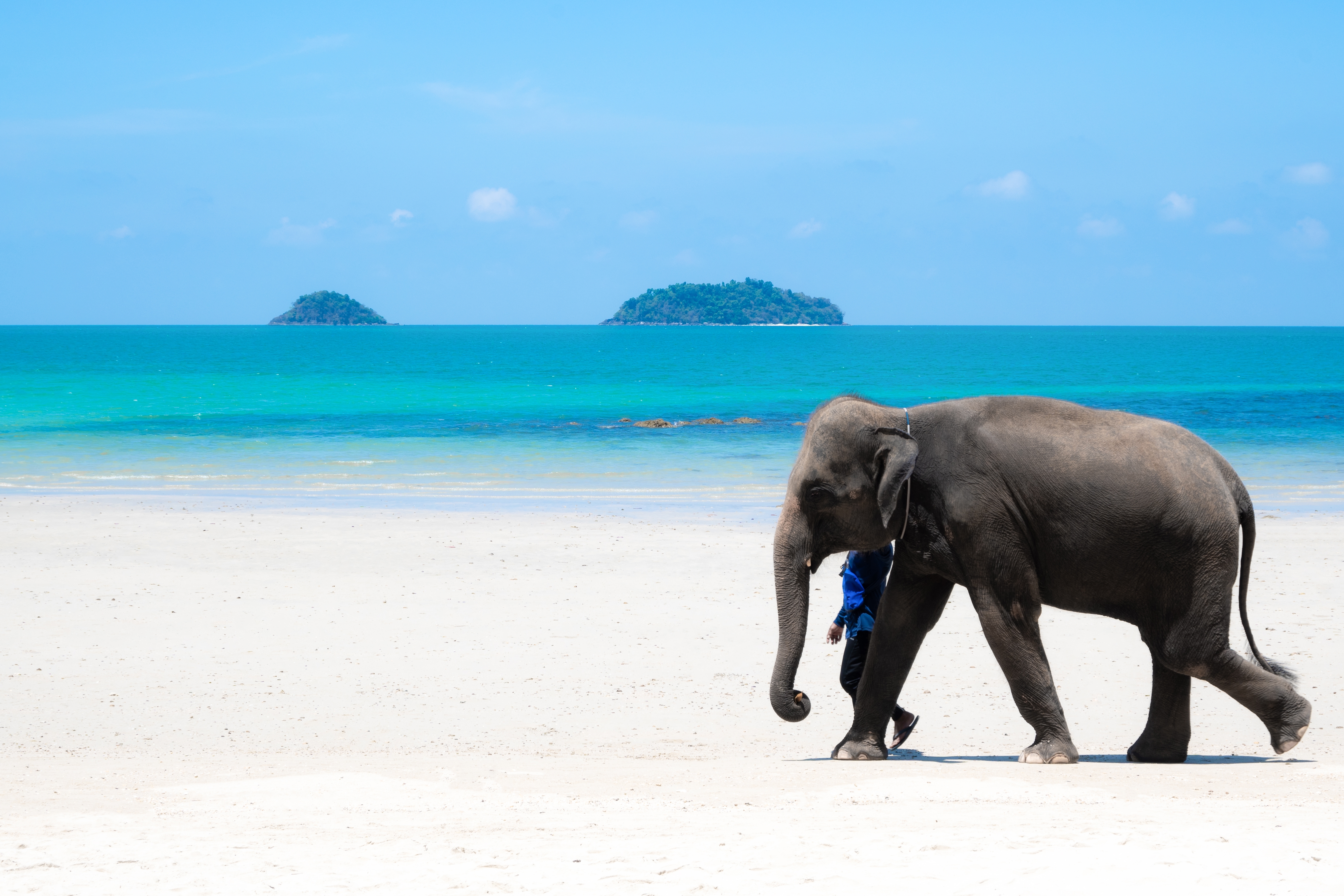 เกาะช้าง · 2