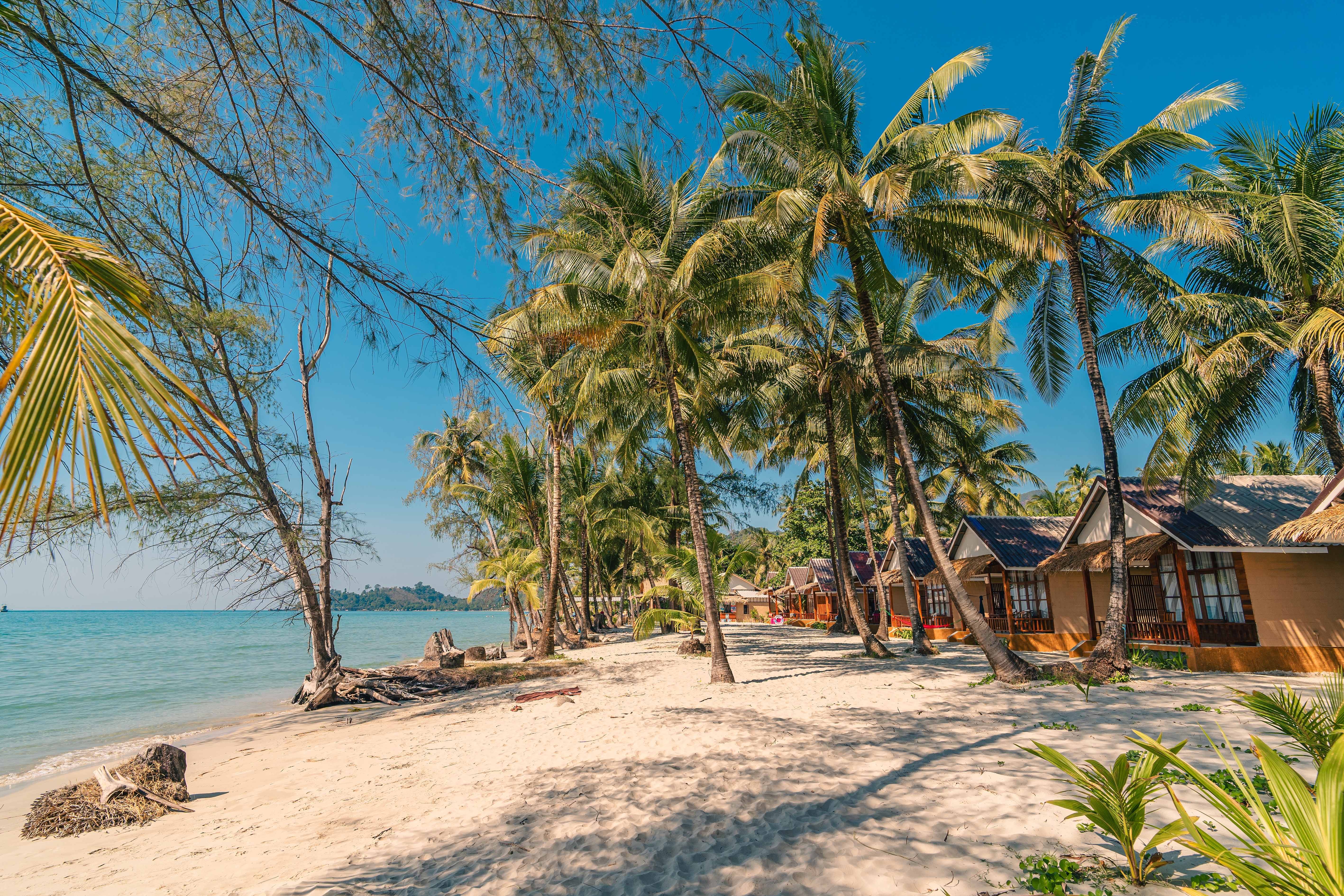 หาดคลองพร้าว–แหลมไชยเชษฐ์ · 5