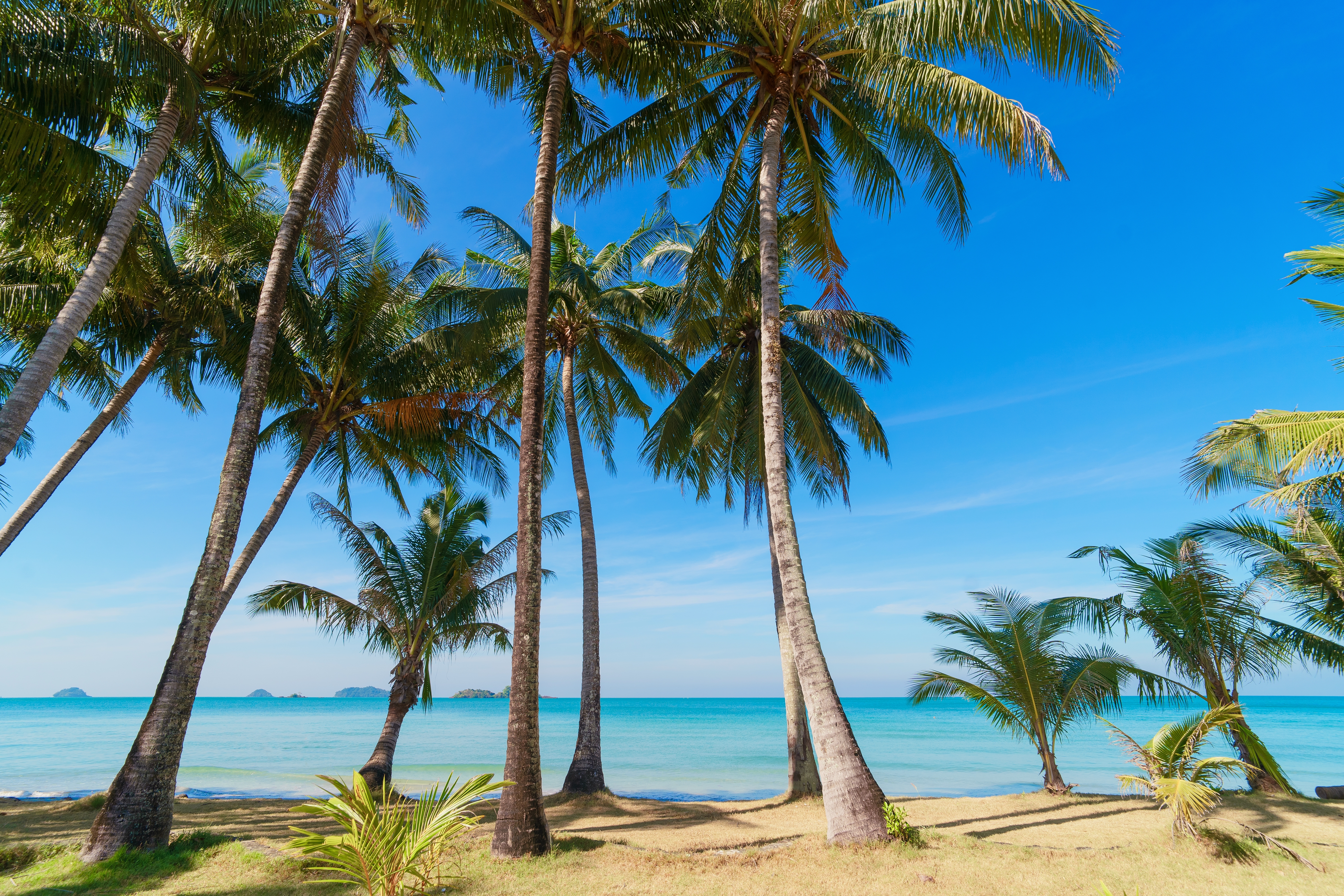 หาดคลองพร้าว–แหลมไชยเชษฐ์ · 4